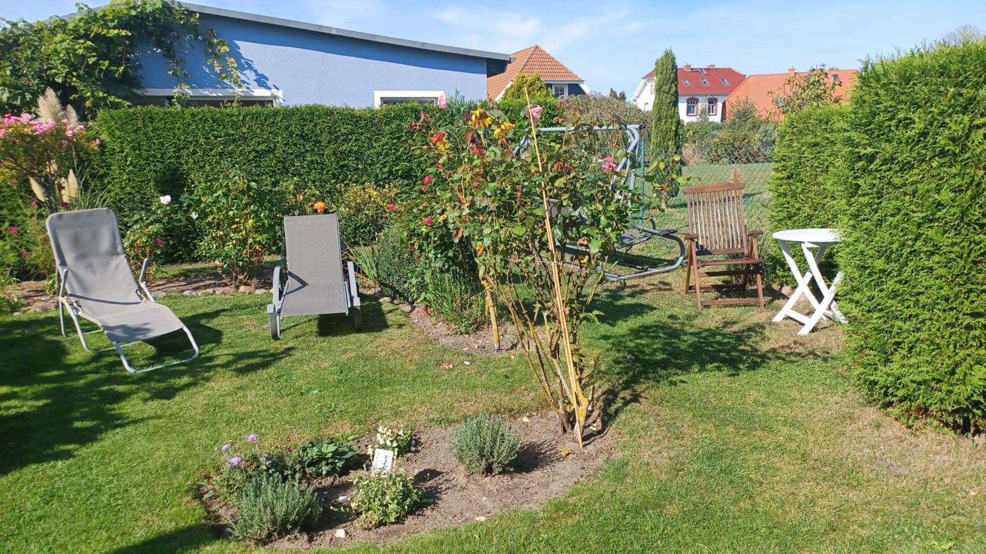 Ferienwohnung Leitzsch วุสโทรว์ ภายนอก รูปภาพ